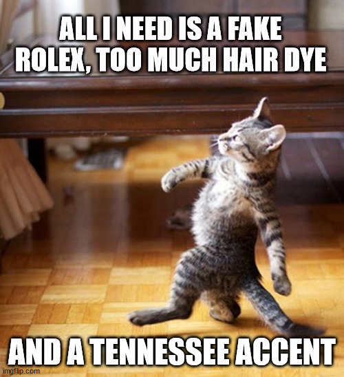 Cat Walking Like A Boss | ALL I NEED IS A FAKE ROLEX, TOO MUCH HAIR DYE; AND A TENNESSEE ACCENT | image tagged in cat walking like a boss | made w/ Imgflip meme maker