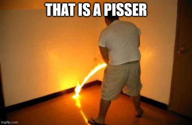 The burning means its working | THAT IS A PISSER | image tagged in the burning means its working | made w/ Imgflip meme maker