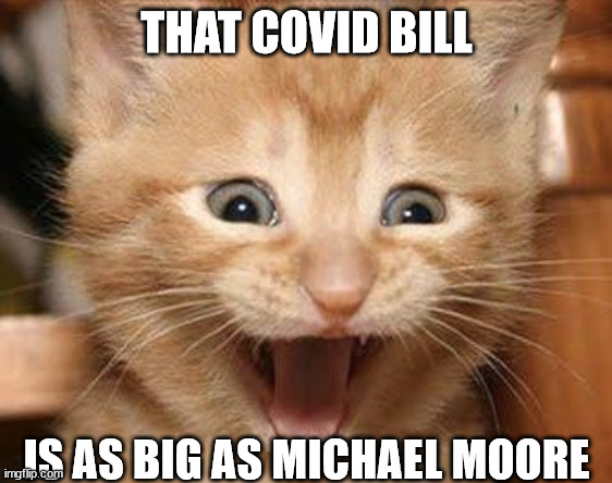 Excited Cat | THAT COVID BILL; IS AS BIG AS MICHAEL MOORE | image tagged in memes,excited cat | made w/ Imgflip meme maker