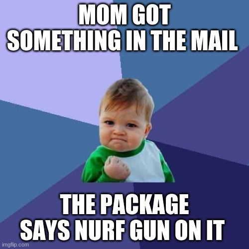 Success Kid | MOM GOT SOMETHING IN THE MAIL; THE PACKAGE SAYS NURF GUN ON IT | image tagged in memes,success kid | made w/ Imgflip meme maker