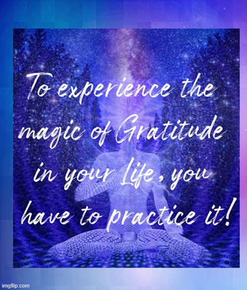 To experience the magic of Gratitude in your Life you have to practice it | image tagged in namaste | made w/ Imgflip meme maker