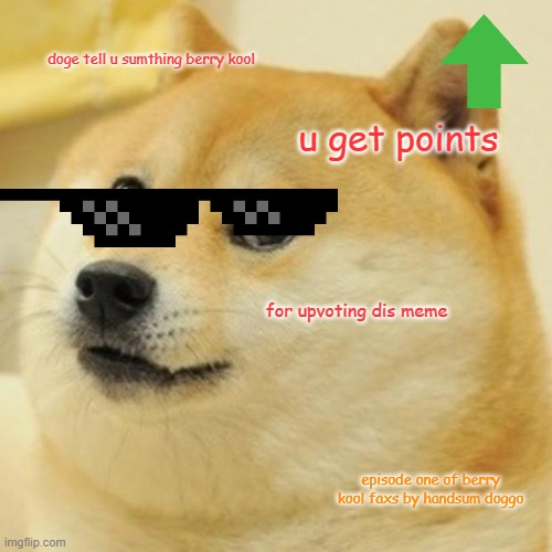 Doge Meme | doge tell u sumthing berry kool; u get points; for upvoting dis meme; episode one of berry kool faxs by handsum doggo | image tagged in memes,doge | made w/ Imgflip meme maker