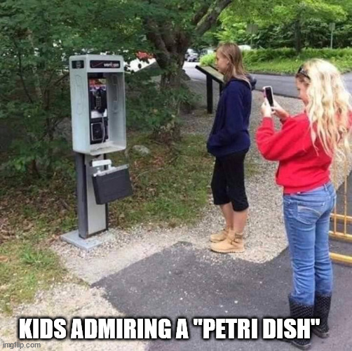 Great Finds In Archaeology | KIDS ADMIRING A "PETRI DISH" | image tagged in teens exploring ancient ruins,analog,telephone,old school,technology challenged grandparents | made w/ Imgflip meme maker