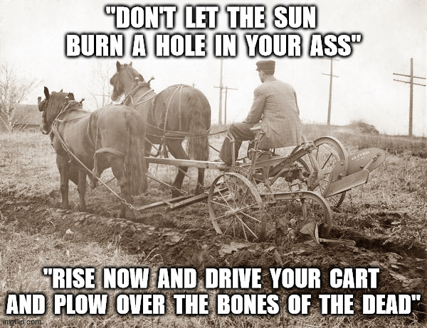 Rise Now | "DON'T  LET  THE  SUN  BURN  A  HOLE  IN  YOUR  ASS"; "RISE  NOW  AND  DRIVE  YOUR  CART  AND  PLOW  OVER  THE  BONES  OF  THE  DEAD" | image tagged in horse plow | made w/ Imgflip meme maker