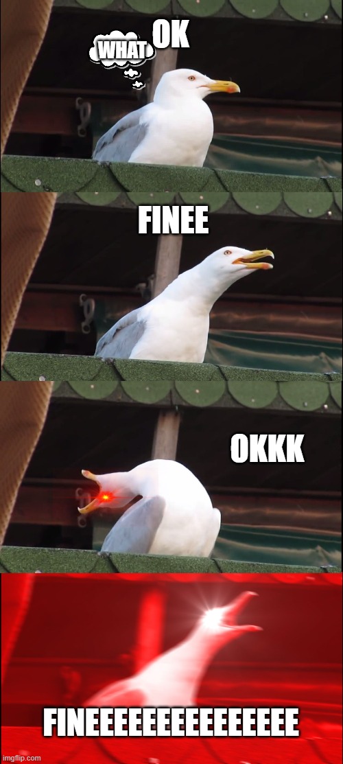 haha | OK; WHAT; FINEE; OKKK; FINEEEEEEEEEEEEEEE | image tagged in memes,inhaling seagull | made w/ Imgflip meme maker