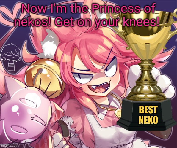 Mad mew mew decided she's best! | Now I'm the Princess of nekos! Get on your knees! BEST NEKO | image tagged in mad mew mew,undertale,neko,anime girl,cute cat | made w/ Imgflip meme maker