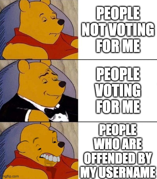 Some people take things way too seriously | PEOPLE NOT VOTING FOR ME; PEOPLE VOTING FOR ME; PEOPLE WHO ARE OFFENDED BY MY USERNAME | image tagged in tuxedo winnie the pooh,memes,politics | made w/ Imgflip meme maker