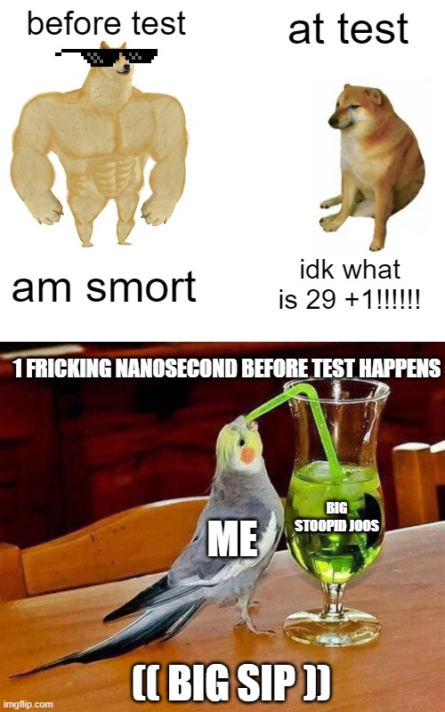 before test; at test; am smort; idk what is 29 +1!!!!!! 1 FRICKING NANOSECOND BEFORE TEST HAPPENS; BIG STOOPID JOOS; ME; (( BIG SIP )) | image tagged in memes,buff doge vs cheems,big sip | made w/ Imgflip meme maker