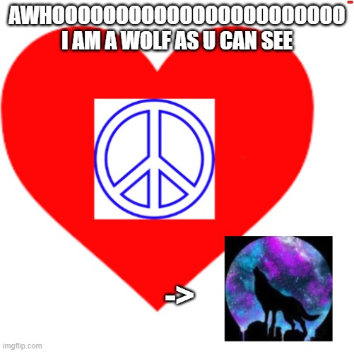 RayRay31's meme | AWHOOOOOOOOOOOOOOOOOOOOOOO I AM A WOLF AS U CAN SEE; -> | image tagged in rayray31's meme | made w/ Imgflip meme maker