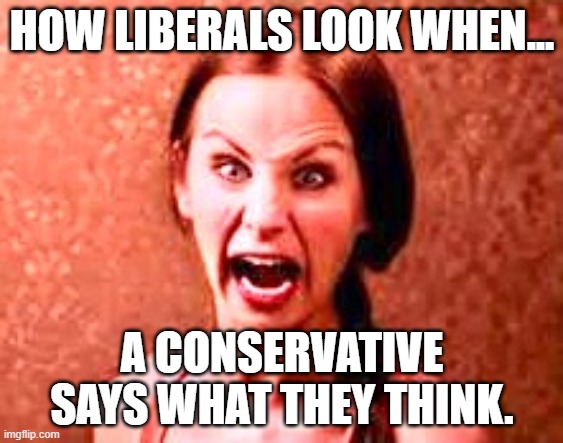 Liberals | HOW LIBERALS LOOK WHEN... A CONSERVATIVE SAYS WHAT THEY THINK. | image tagged in crazy liberal | made w/ Imgflip meme maker