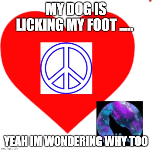 RayRay31's meme | MY DOG IS LICKING MY FOOT ..... YEAH IM WONDERING WHY TOO | image tagged in rayray31's meme | made w/ Imgflip meme maker