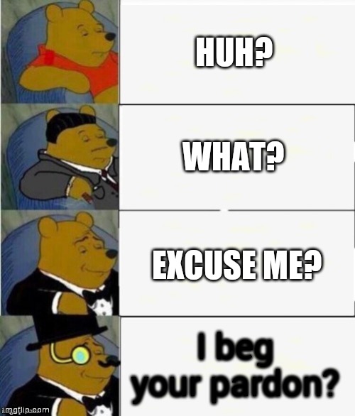 Tuxedo Winnie the Pooh 4 panel | HUH? WHAT? EXCUSE ME? I beg your pardon? | image tagged in tuxedo winnie the pooh 4 panel | made w/ Imgflip meme maker