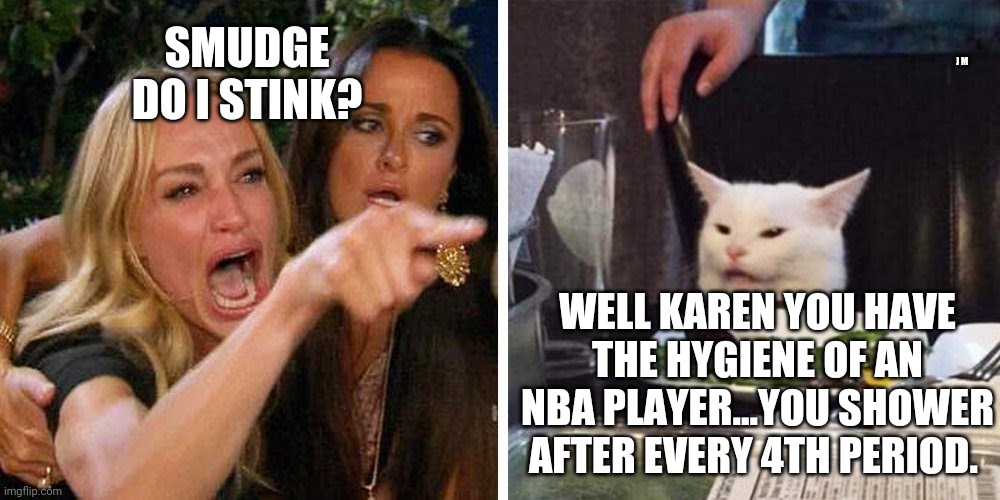 Smudge the cat | J M; SMUDGE DO I STINK? WELL KAREN YOU HAVE THE HYGIENE OF AN NBA PLAYER...YOU SHOWER AFTER EVERY 4TH PERIOD. | image tagged in smudge the cat | made w/ Imgflip meme maker