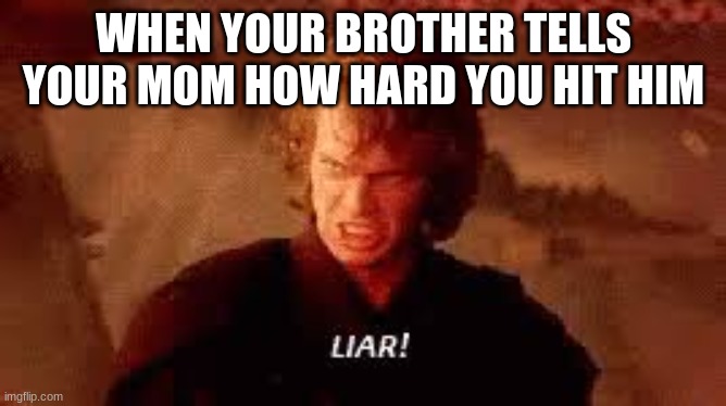 Anakin Liar | WHEN YOUR BROTHER TELLS YOUR MOM HOW HARD YOU HIT HIM | image tagged in anakin liar | made w/ Imgflip meme maker