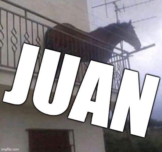 Juan | JUAN | image tagged in juan | made w/ Imgflip meme maker