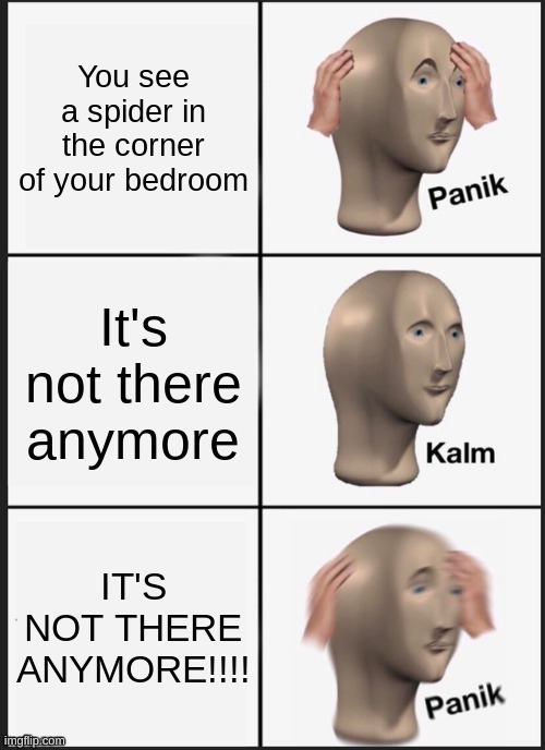 Ooh... Very spoopy! | image tagged in panik kalm panik,spider,spiders | made w/ Imgflip meme maker