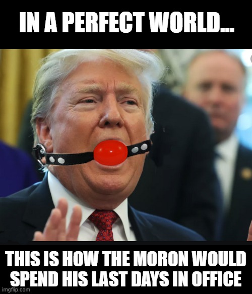 President Chatty Man... | IN A PERFECT WORLD... THIS IS HOW THE MORON WOULD SPEND HIS LAST DAYS IN OFFICE | image tagged in trump is a moron,donald trump,election 2020,donald trump is an idiot | made w/ Imgflip meme maker