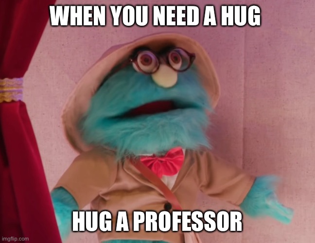 WHEN YOU NEED A HUG; HUG A PROFESSOR | image tagged in professor,puppet | made w/ Imgflip meme maker