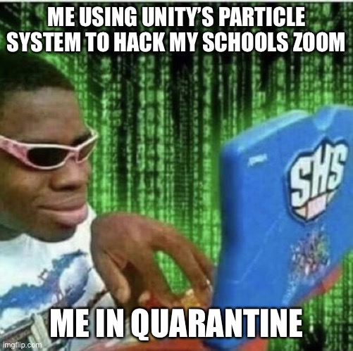 Ryan Beckford | ME USING UNITY’S PARTICLE SYSTEM TO HACK MY SCHOOLS ZOOM; ME IN QUARANTINE | image tagged in ryan beckford | made w/ Imgflip meme maker