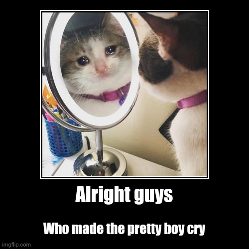 Alright Guys Who Made the Pretty Boy Cry (CockAndBallTortureBot) | image tagged in funny,demotivationals,wholesome,cat,pretty boy,crying | made w/ Imgflip demotivational maker