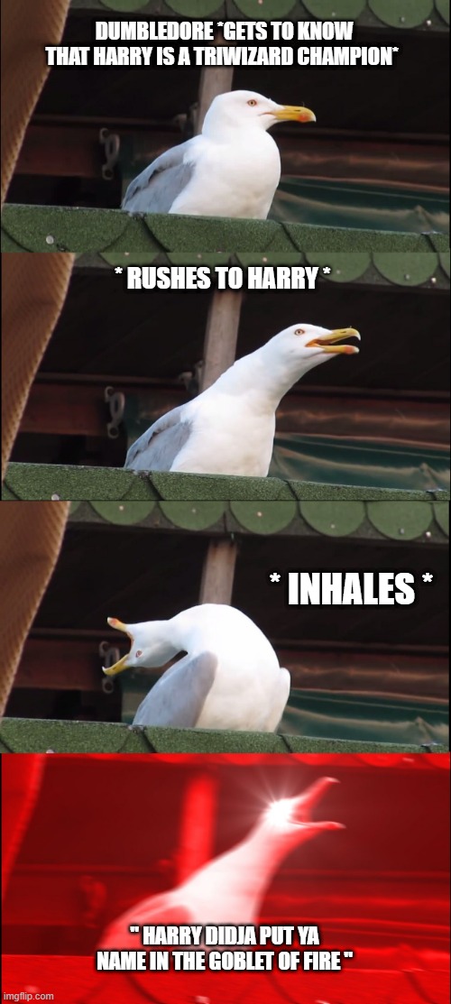 Inhaling Seagull | DUMBLEDORE *GETS TO KNOW THAT HARRY IS A TRIWIZARD CHAMPION*; * RUSHES TO HARRY *; * INHALES *; " HARRY DIDJA PUT YA NAME IN THE GOBLET OF FIRE " | image tagged in memes,inhaling seagull | made w/ Imgflip meme maker