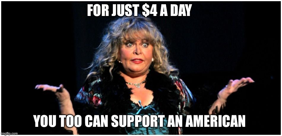 Feed the Americans | FOR JUST $4 A DAY; YOU TOO CAN SUPPORT AN AMERICAN | image tagged in stimulus,government corruption,sally struthers,dark humor | made w/ Imgflip meme maker
