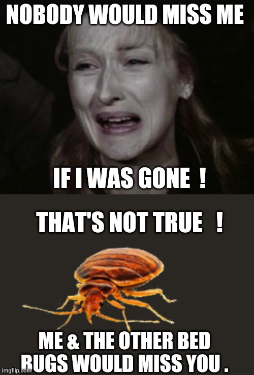 Love bugs |  NOBODY WOULD MISS ME; IF I WAS GONE  ! THAT'S NOT TRUE   ! ME & THE OTHER BED BUGS WOULD MISS YOU . | image tagged in funny,memes,meryl streep,bedbugs,2020 | made w/ Imgflip meme maker