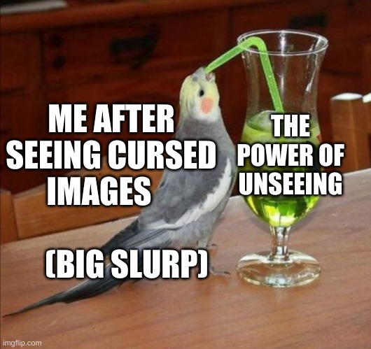 Bird drinking green juice | THE POWER OF UNSEEING; ME AFTER SEEING CURSED IMAGES                      (BIG SLURP) | image tagged in bird drinking green juice | made w/ Imgflip meme maker