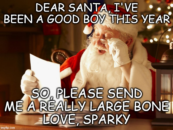 Santa Reading Letter | DEAR SANTA, I'VE BEEN A GOOD BOY THIS YEAR; SO, PLEASE SEND ME A REALLY LARGE BONE
LOVE, SPARKY | image tagged in santa reading letter | made w/ Imgflip meme maker