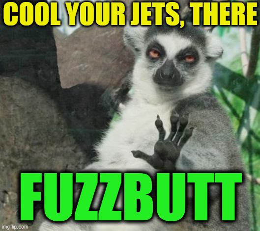 Stoner Lemur Meme | COOL YOUR JETS, THERE FUZZBUTT | image tagged in memes,stoner lemur | made w/ Imgflip meme maker