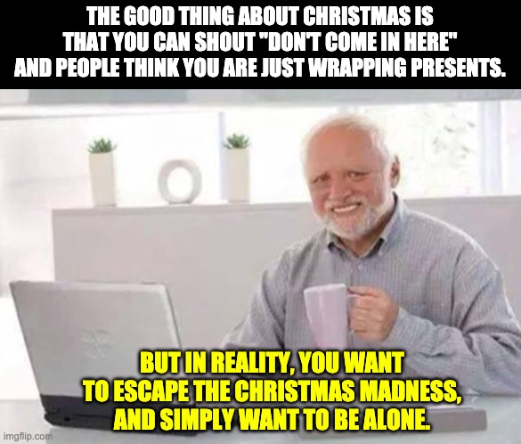 Christmas madness | THE GOOD THING ABOUT CHRISTMAS IS THAT YOU CAN SHOUT "DON'T COME IN HERE" AND PEOPLE THINK YOU ARE JUST WRAPPING PRESENTS. BUT IN REALITY, YOU WANT TO ESCAPE THE CHRISTMAS MADNESS, AND SIMPLY WANT TO BE ALONE. | image tagged in harold | made w/ Imgflip meme maker