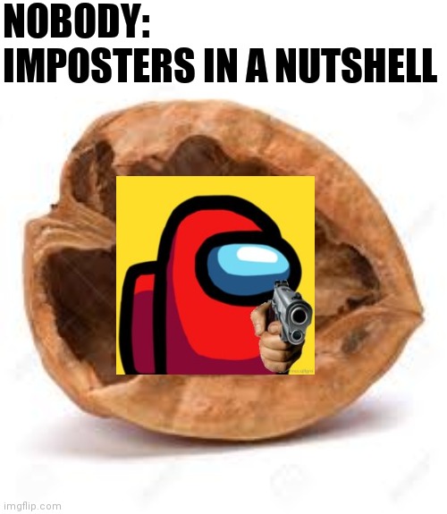 Imposters in a nutshell | NOBODY:
IMPOSTERS IN A NUTSHELL | image tagged in in a nut shell | made w/ Imgflip meme maker