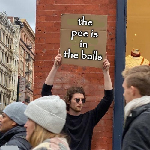 the pee is in the balls | image tagged in pee | made w/ Imgflip meme maker