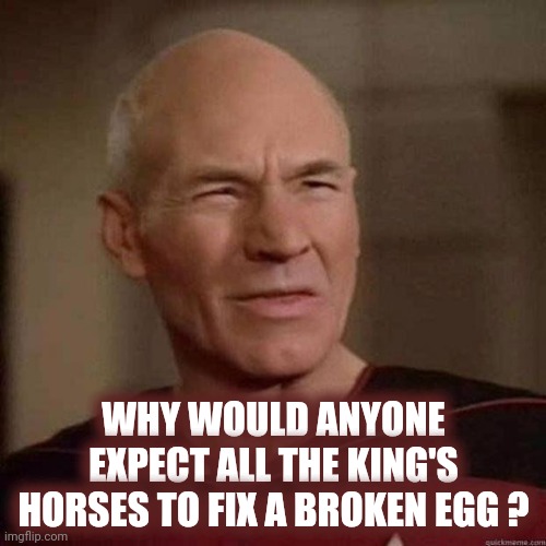And All The King's Men | WHY WOULD ANYONE EXPECT ALL THE KING'S HORSES TO FIX A BROKEN EGG ? | image tagged in dafuq picard,memes,humpty dumpty,i don't get it,you wouldn't get it,hehehe | made w/ Imgflip meme maker