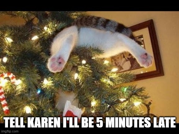 TELL KAREN I'LL BE 5 MINUTES LATE | image tagged in karen,cats,christmas,christmas tree,funny cats | made w/ Imgflip meme maker