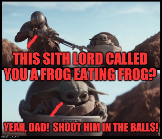 Baby Yoda | THIS SITH LORD CALLED YOU A FROG EATING FROG? YEAH, DAD!  SHOOT HIM IN THE BALLS! | image tagged in baby yoda | made w/ Imgflip meme maker