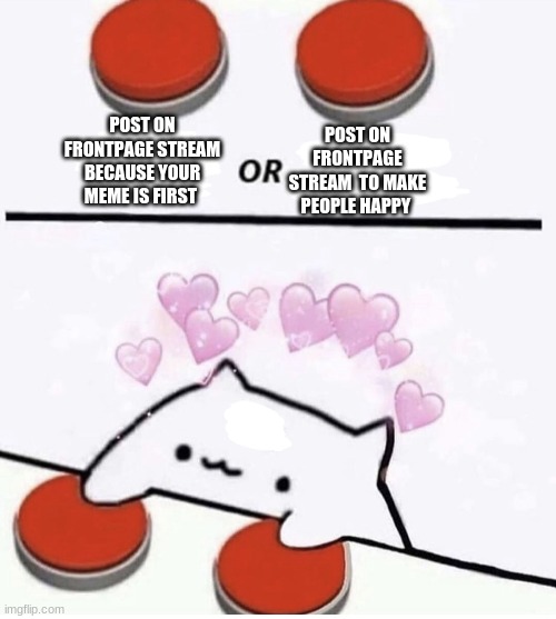 Cat pressing two buttons | POST ON FRONTPAGE STREAM  TO MAKE PEOPLE HAPPY; POST ON FRONTPAGE STREAM BECAUSE YOUR MEME IS FIRST | image tagged in cat pressing two buttons | made w/ Imgflip meme maker