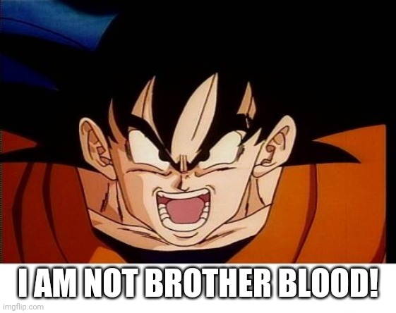 Crosseyed Goku Meme | I AM NOT BROTHER BLOOD! | image tagged in memes,crosseyed goku | made w/ Imgflip meme maker