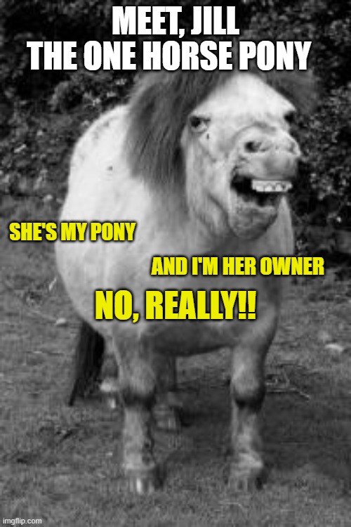 I found on PEDE's | MEET, JILL; THE ONE HORSE PONY; SHE'S MY PONY; AND I'M HER OWNER; NO, REALLY!! | image tagged in trump,biden,election 2020 | made w/ Imgflip meme maker