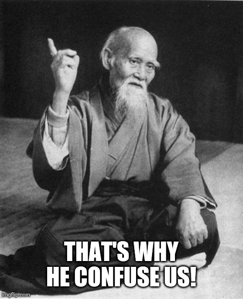 Wise Master | THAT'S WHY HE CONFUSE US! | image tagged in wise master | made w/ Imgflip meme maker
