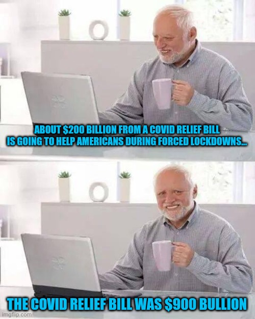 What does a law stating 10 years in prison for illegal downloads have to do with helping Americans during covid lockdowns? | ABOUT $200 BILLION FROM A COVID RELIEF BILL IS GOING TO HELP AMERICANS DURING FORCED LOCKDOWNS... THE COVID RELIEF BILL WAS $900 BULLION | image tagged in memes,hide the pain harold,covid-19,coronavirus,lockdown | made w/ Imgflip meme maker