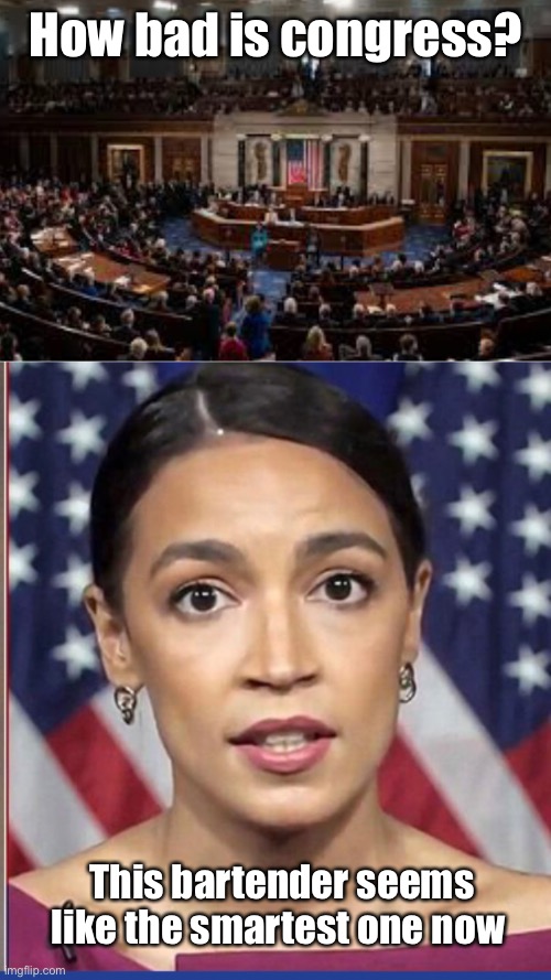 Congress is absolute garbage | How bad is congress? This bartender seems like the smartest one now | image tagged in aoc,congress,quarantine,derp,memes,politics | made w/ Imgflip meme maker