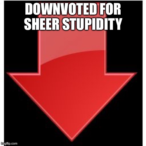 downvotes | DOWNVOTED FOR SHEER STUPIDITY | image tagged in downvotes | made w/ Imgflip meme maker
