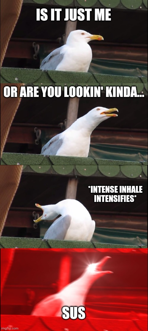 Sus | IS IT JUST ME; OR ARE YOU LOOKIN' KINDA... *INTENSE INHALE INTENSIFIES*; SUS | image tagged in memes,inhaling seagull | made w/ Imgflip meme maker