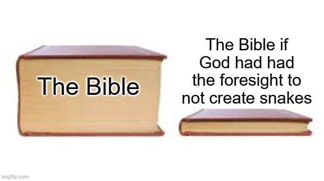 Amen! | The Bible if God had had the foresight to not create snakes; The Bible | image tagged in big book small book | made w/ Imgflip meme maker