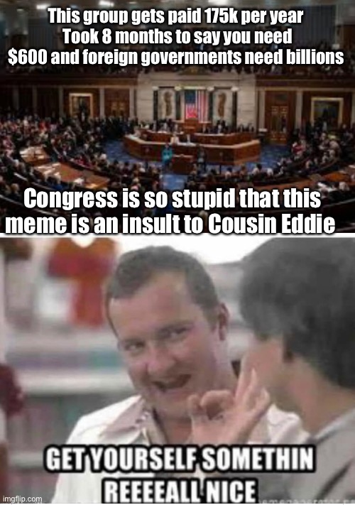 Cousin Eddie is smarter than congress | This group gets paid 175k per year 
Took 8 months to say you need $600 and foreign governments need billions; Congress is so stupid that this meme is an insult to Cousin Eddie | image tagged in congress,cousin eddie,memes,quarantine,politics,stupid people | made w/ Imgflip meme maker
