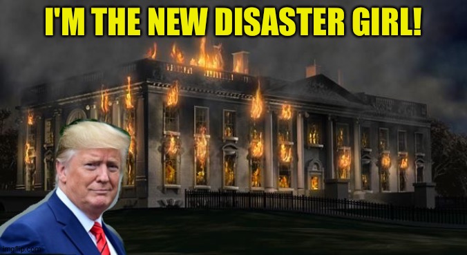 The Donald Is The New Disaster Girl | I'M THE NEW DISASTER GIRL! | image tagged in the donald is the new disaster girl | made w/ Imgflip meme maker