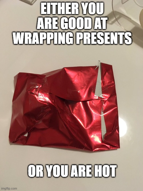 Gift wrapping | EITHER YOU ARE GOOD AT WRAPPING PRESENTS; OR YOU ARE HOT | image tagged in christmas gifts,gifts,gift,wrapping,hot,hotgirl | made w/ Imgflip meme maker