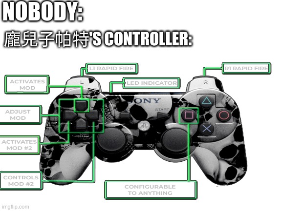 NOBODY:; 龐兒子帕特'S CONTROLLER: | image tagged in video games | made w/ Imgflip meme maker