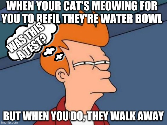 Futurama Fry Meme | WHEN YOUR CAT'S MEOWING FOR YOU TO REFIL THEY'RE WATER BOWL; WAS THIS A TEST? BUT WHEN YOU DO, THEY WALK AWAY | image tagged in memes,futurama fry | made w/ Imgflip meme maker